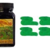 Noodlers Fountain Pen Ink Bottle - Eel Gruene Cactus -Pens Store zzzzz 4e829fac 5662 4d4d a4e3 e8c8e02a0578