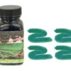 Noodlers Fountain Pen Ink Bottle - Bad Green Gator -Pens Store zzzzz 8cc86054 049a 4e8d 851e 0f15c308359d